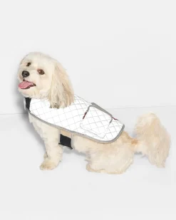 Medium MZW Dog Coat|MZ Wallace Discount