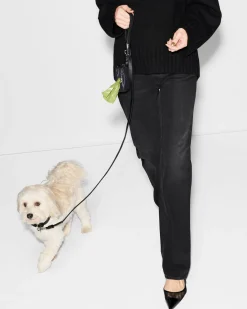 MZW Dog Leash|MZ Wallace Fashion